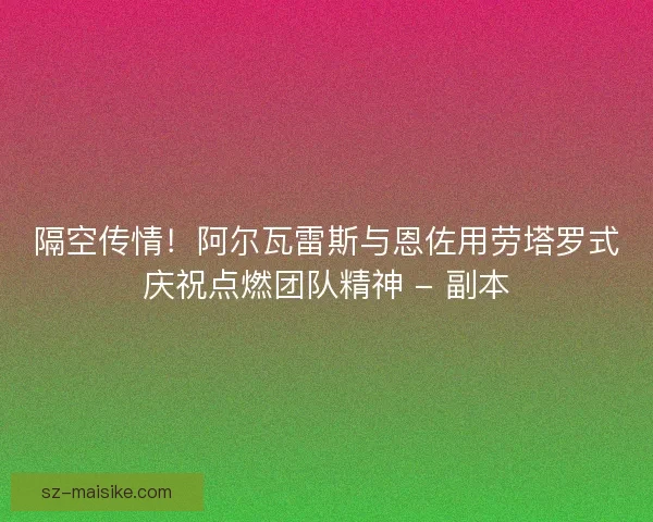 隔空传情！阿尔瓦雷斯与恩佐用劳塔罗式庆祝点燃团队精神 - 副本