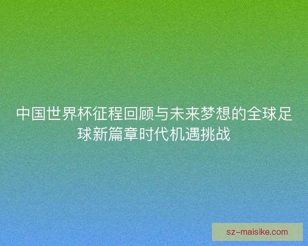 中国世界杯征程回顾与未来梦想的全球足球新篇章时代机遇挑战