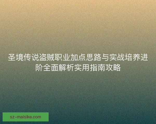 圣境传说盗贼职业加点思路与实战培养进阶全面解析实用指南攻略