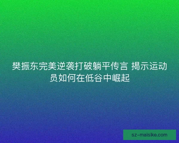 樊振东完美逆袭打破躺平传言 揭示运动员如何在低谷中崛起